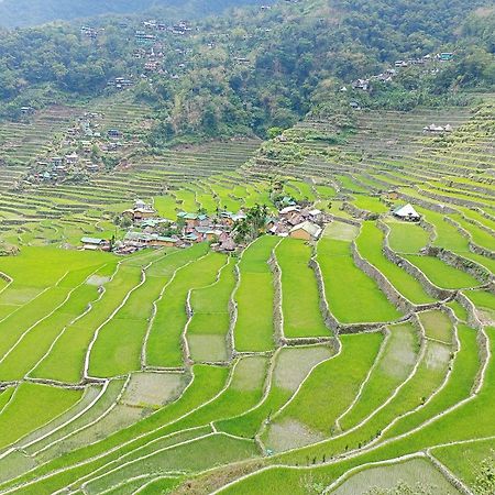 Banaue Transient House Bed And Breakfast Bagian luar foto