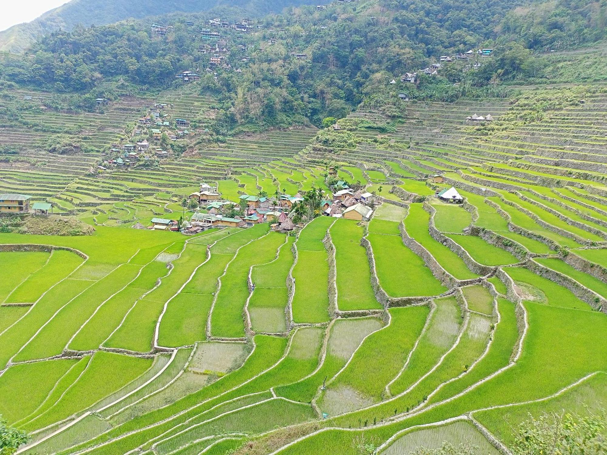 Banaue Transient House Bed And Breakfast Bagian luar foto